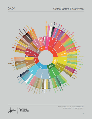 The Coffee Tasters Flavour Wheel | How coffee professionals determine ...